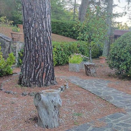 Villa Santa Margherita - La Suvera Ponte A Bozzone Kültér fotó