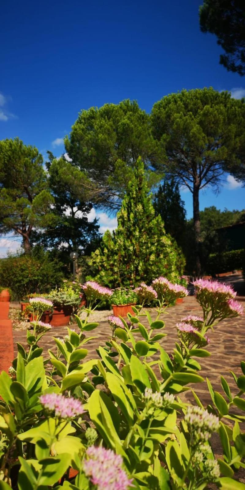 Villa Santa Margherita - La Suvera Ponte A Bozzone Kültér fotó