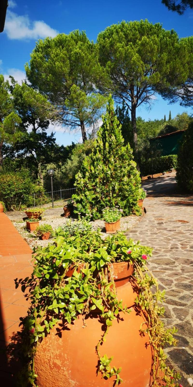 Villa Santa Margherita - La Suvera Ponte A Bozzone Kültér fotó