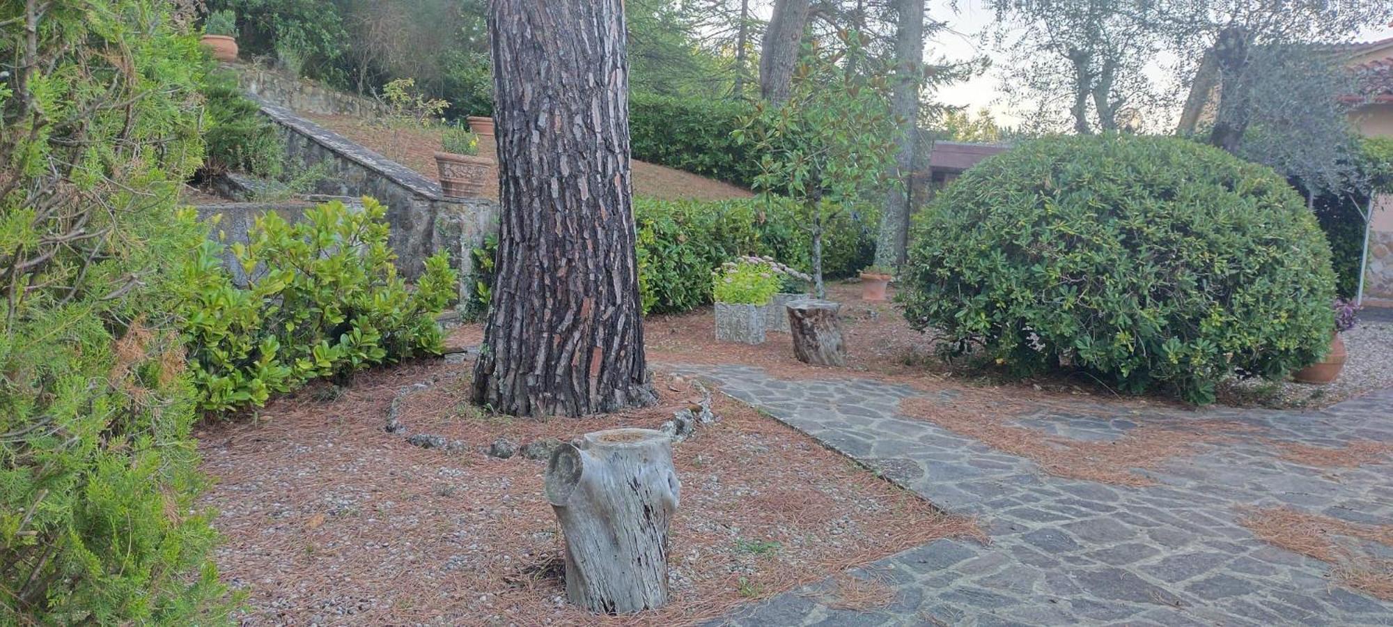 Villa Santa Margherita - La Suvera Ponte A Bozzone Kültér fotó