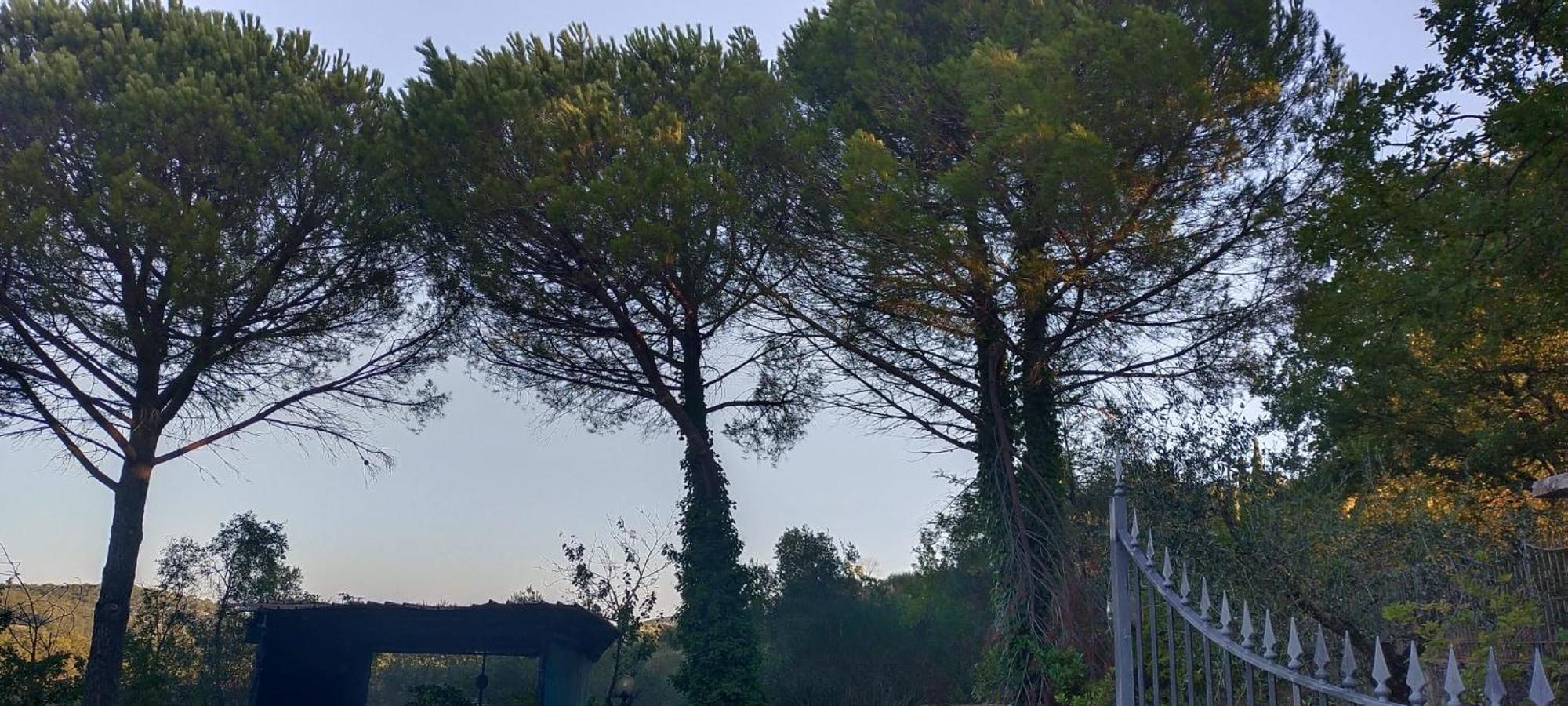 Villa Santa Margherita - La Suvera Ponte A Bozzone Kültér fotó